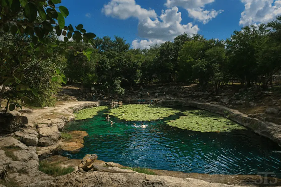 Fun day trips for families in Valladolid — Casas en Valladolid