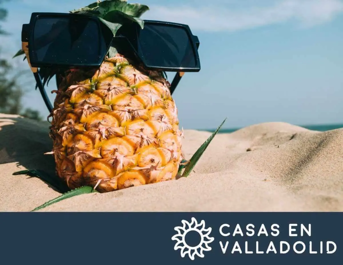 Cómo sobrevivir al calor en Yucatán: consejos prácticos — Casas en Valladolid