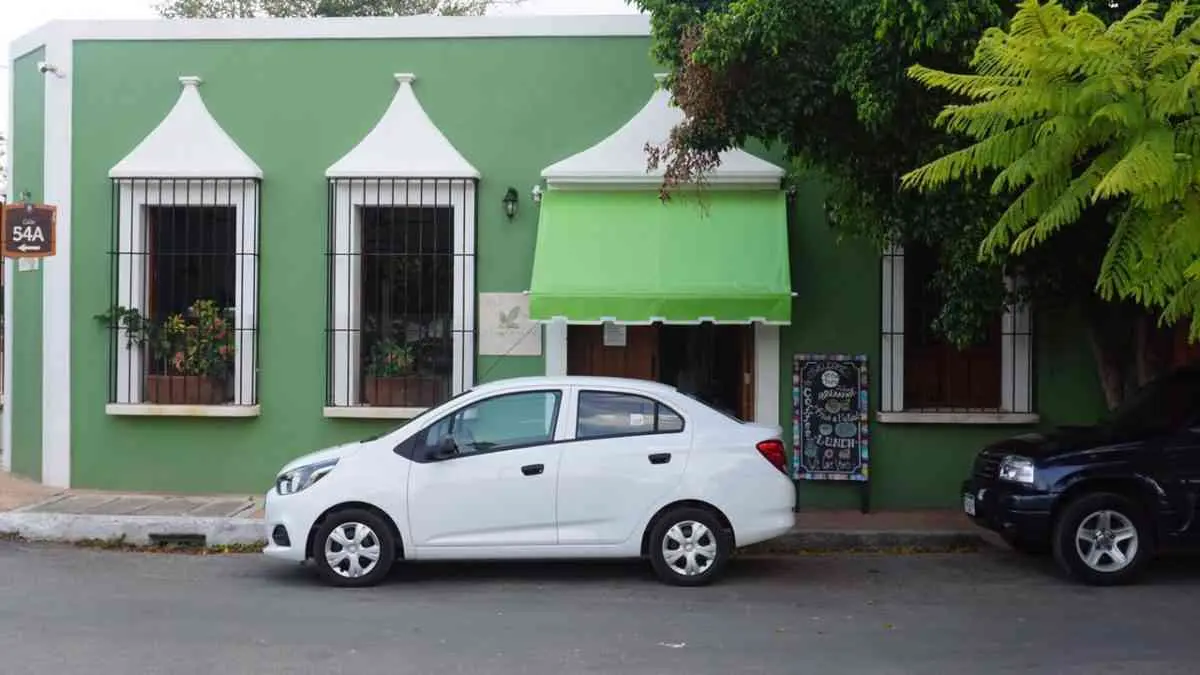 ¡Restaurantes veganos en Valladolid! — Casas en Valladolid