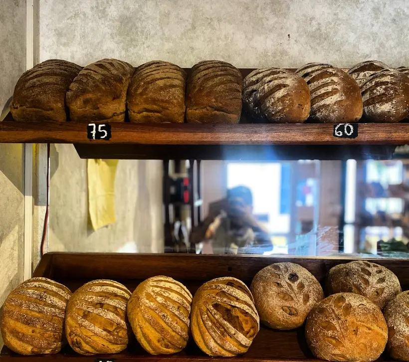 Comprar Vegetales y Pan de Primera Calidad en Valladolid — Casas en Valladolid