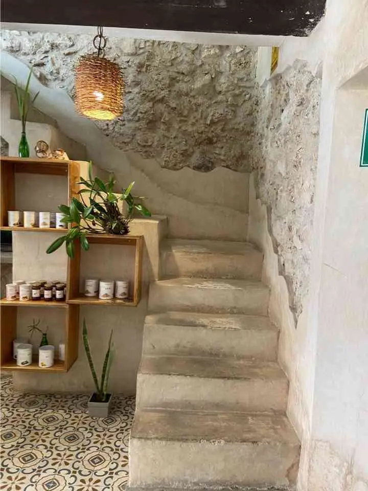 ¡Restaurantes veganos en Valladolid! — Casas en Valladolid