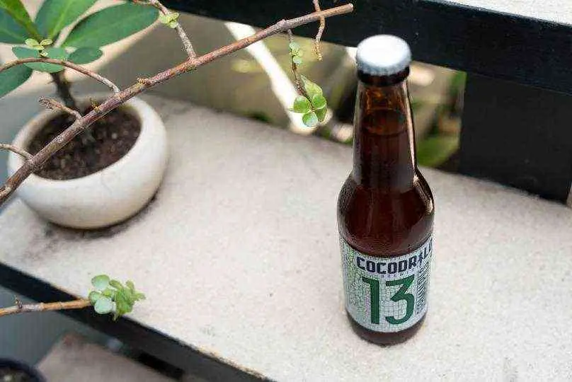 Cervezas Artesanales Yucatecas — Casas en Valladolid