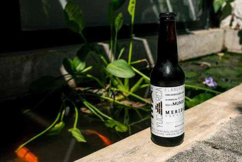 Cervezas Artesanales Yucatecas — Casas en Valladolid