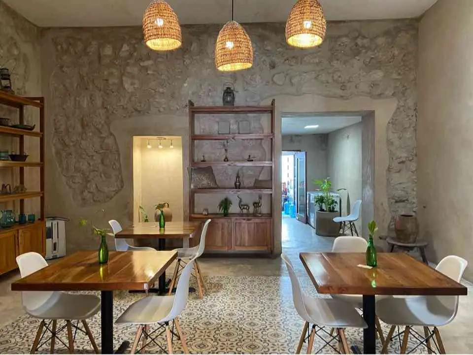 ¡Restaurantes veganos en Valladolid! — Casas en Valladolid