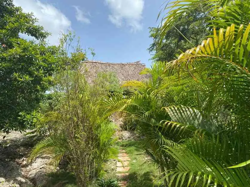 Build a house in Yucatán