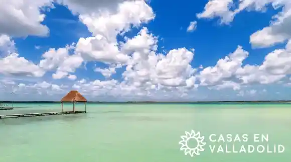 Explorando Punta Laguna: Un Escape Natural Cerca de Valladolid