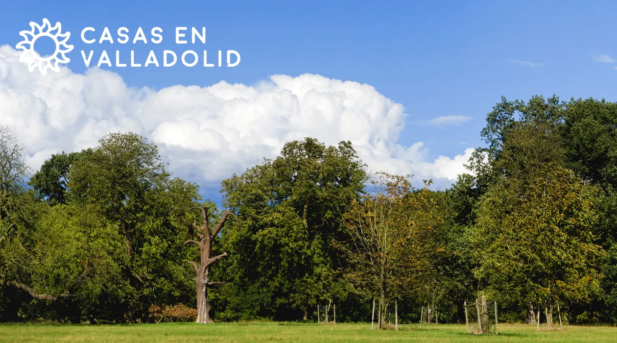 Terrenos de inversión en venta Valladolid Yucatán